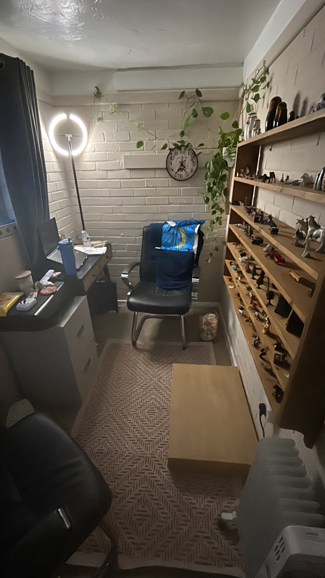 Comfortable counselling room with shelves of figures, plants and a relaxing chair